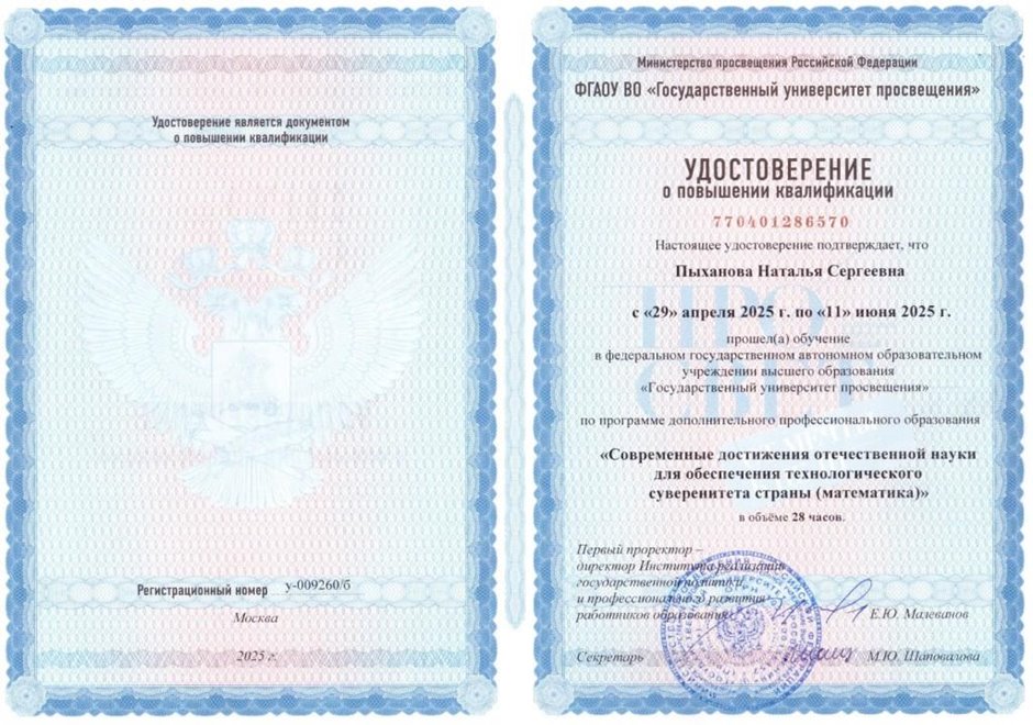 Пыханова Наталья Сергеевна 2024-2025